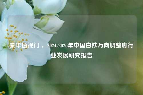 豪华透视门 ，2024-2026年中国白铁万向调整脚行业发展研究报告