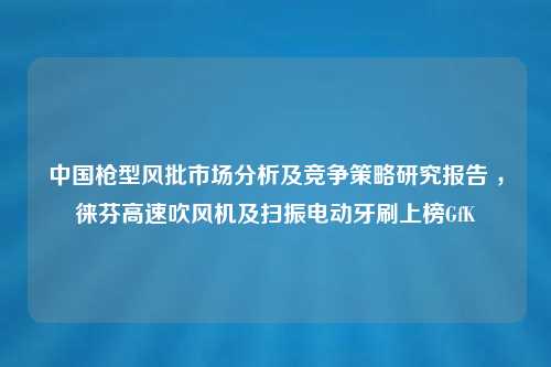 中国枪型风批市场分析及竞争策略研究报告 ，徕芬高速吹风机及扫振电动牙刷上榜GfK