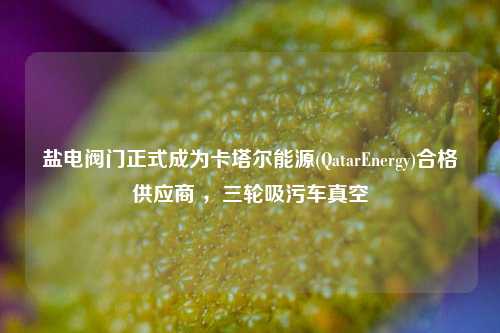 盐电阀门正式成为卡塔尔能源(QatarEnergy)合格供应商 ，三轮吸污车真空